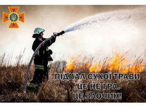 Інформація про пожежі в Тетіївській територіальній громаді 10-11 квітня